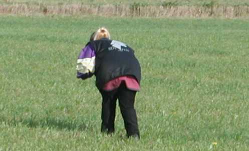 Mervi tallaa