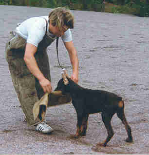 Mike and Blitz