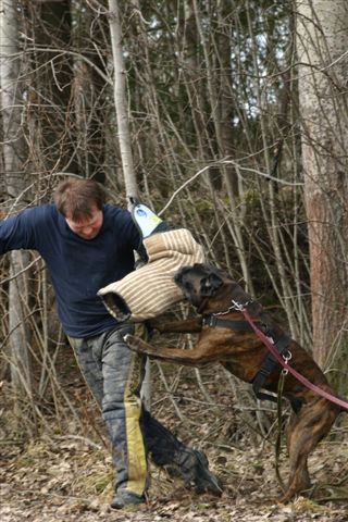 Handler: Maikki Leimola