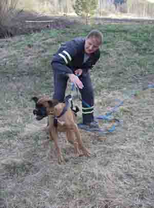 Handler: Maikki Leimola