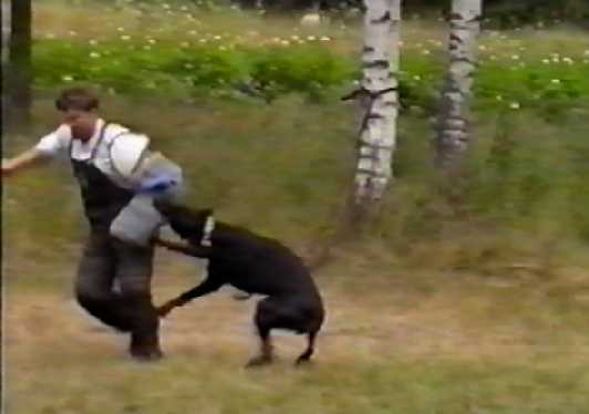 Mike and Bronco