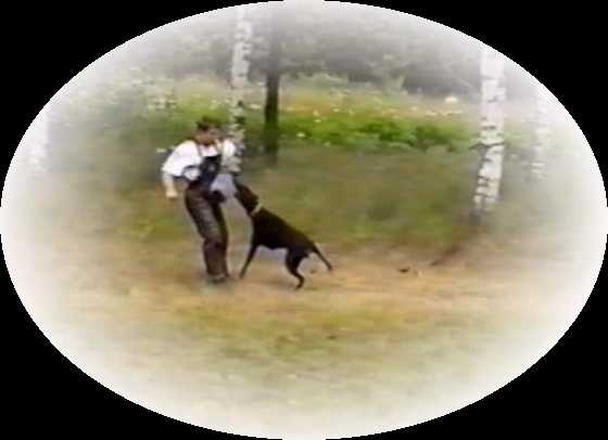 Mike and Bronco