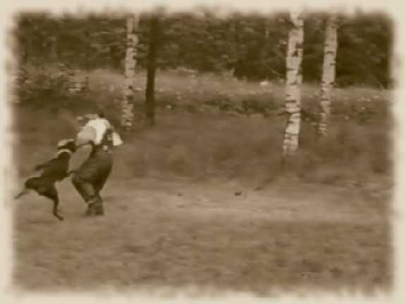 Bronco and Mike