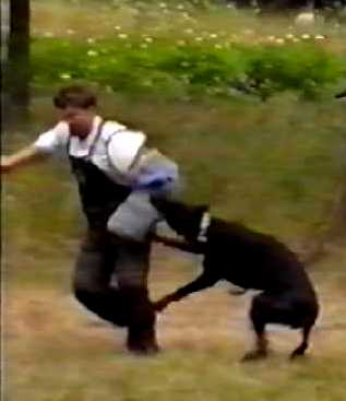 Mike and Bronco