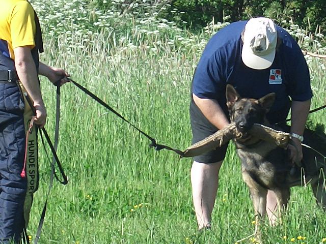 Handler: Paavo Rapila