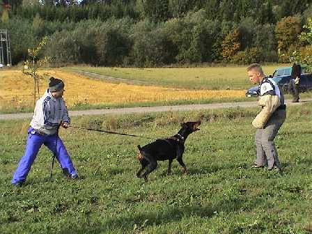 Mike, Brio and Esa